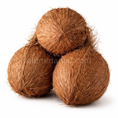 Coconut